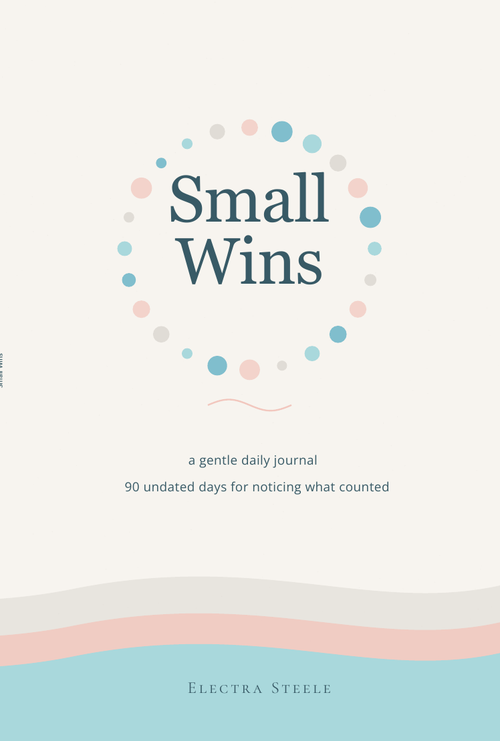 Small Wins book cover